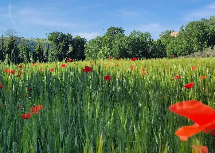 Casale Caldarette * Fermo